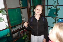 DSC04052