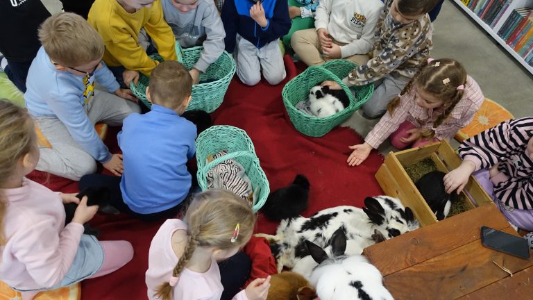 Spotkanie z królikami